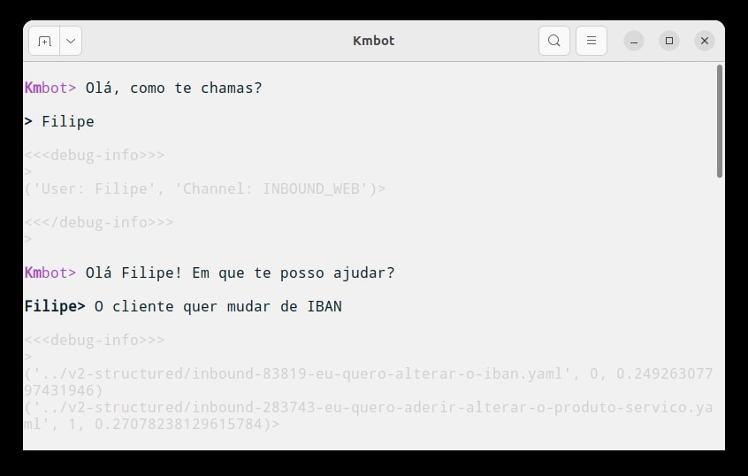 Terminal user interface showing the conversation between the user and the AI assistant